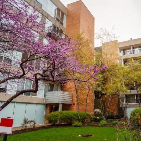 Why winter damage shows up in late spring and early summer